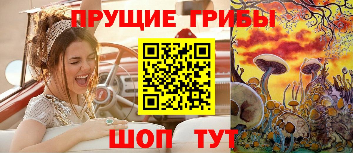 Галлюциногенные грибы MAGIC MUSHROOMS  Псилоцибиновые грибы ЛСД  Вход с VPN  Алатырь 